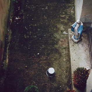 Palehorse (UK) : Harm Starts Here